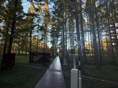 -黄海国家森林公园