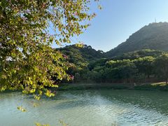 -风云岭森林公园