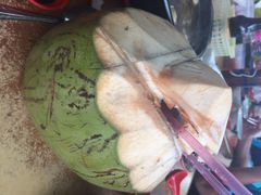 新记肉骨茶-新记肉骨茶