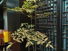 -洛阳宴·洛阳菜(南昌路店)