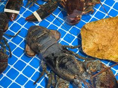 -渔港甄宴·海鲜·地标烟台菜(金沙滩店)