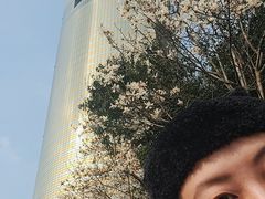 -震旦国际大楼