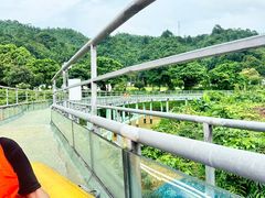 -清泉湾生态旅游度假区