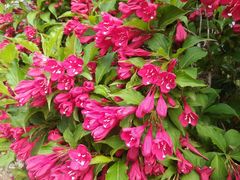 -维客超市(胶南店)