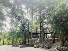-南岗山公园