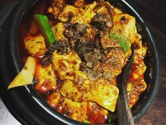 -陈麻婆豆腐总店
