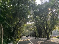 -南宁南湖公园
