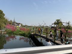 -嘉北郊野公园