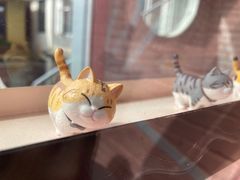 -喵屿·大理花园猫咖