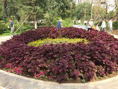 -回龙观体育文化公园