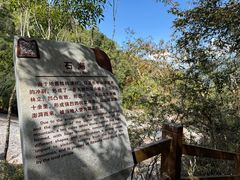 -海南霸王岭国家森林公园