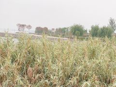 -郑东新区龙湖公共艺术中心