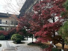 -茅山东方盐湖城景区