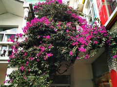 -尼玛藏家风味园(阿山食城店)