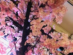 -金龙咖喱