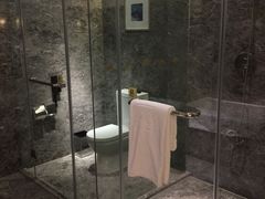 -常州环球恐龙城维景国际大酒店