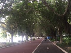 -南宁南湖公园