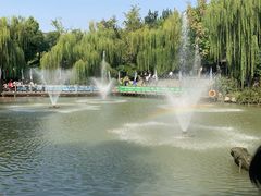 -台儿庄古城