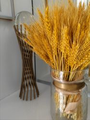 点击看大图 -熙朵美学植发·连锁品牌