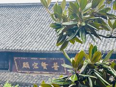 -峨眉山报国寺