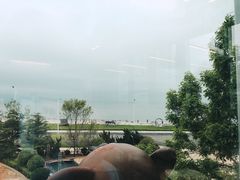 -了不起的考拉咖啡店(高新店)