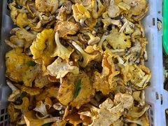 -双喜农庄·菌香园(安居家园店)