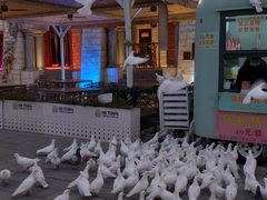 -华谊兄弟（长沙）电影小镇