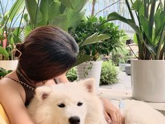 -Helens海伦司小酒馆(重庆永川华茂店)