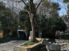 -上海佘山国家森林公园西佘山园