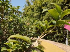 -中国移动南方基地