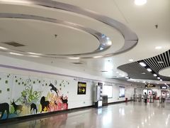 -上海动物园(地铁站)