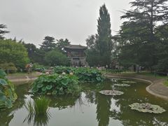 -国家植物园南园