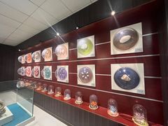 -青岛贝壳博物馆