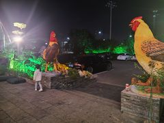 -头上红煨盐鸡·非遗院子餐厅
