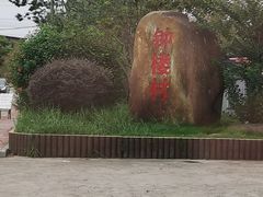 -从化深英荔枝黄皮龙眼采摘园
