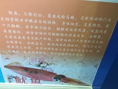 -上海海洋大学鱼文化博物馆(军工路校区)