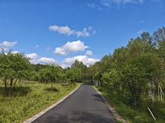-御道口草原森林风景区