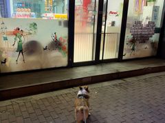 -乐琪宠物(青塔西路店)