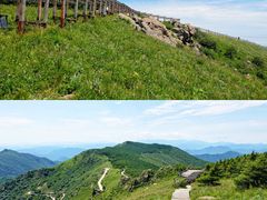 -白草畔自然风景区