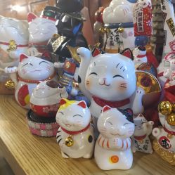 -YASAKI国际舞蹈中心