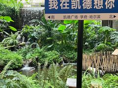 -凯德广场(学府店)