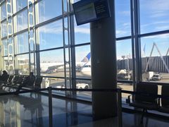 -纽瓦克自由国际机场