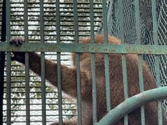 -秦皇岛野生动物园