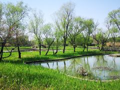 -西溪国家湿地公园