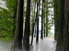 -东湖落雁景区
