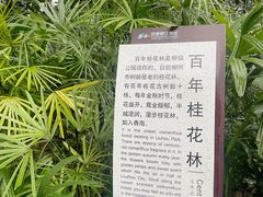 -柳侯公园
