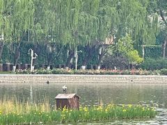 -中国农业博物馆