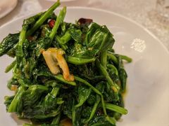 水腌菜高山豌豆尖-云腾食府·云南菜