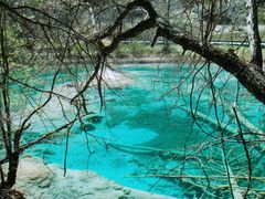 -九寨沟-树正沟