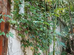 -草庵摩尼教遗址公园